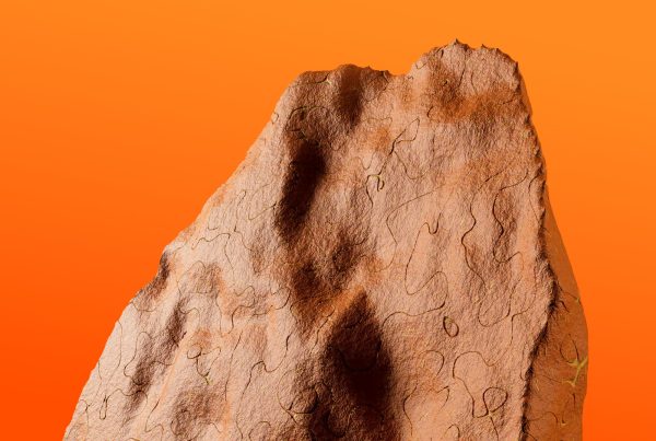 Bozu Festival  //  14 maart